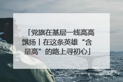 党旗在基层一线高高飘扬丨在这条英雄“含量高”的路上寻初心